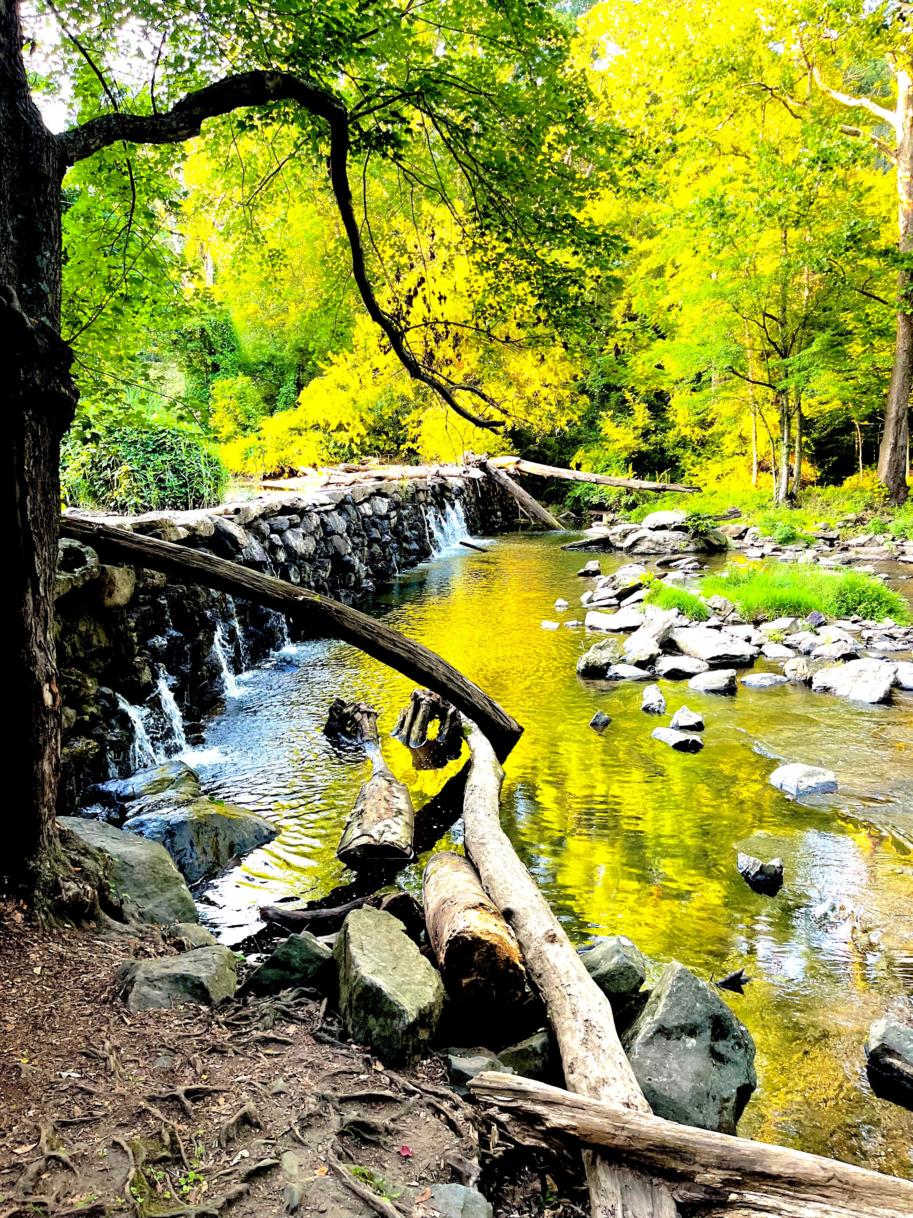 Marisa Noel Jones, Golden Falls